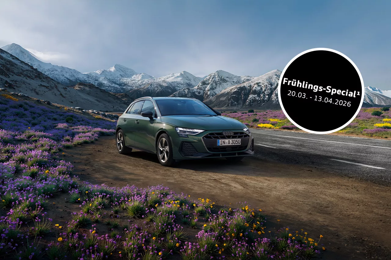 Ein dunklegrünes Audi Modell steht in in einer Berglandschaft.