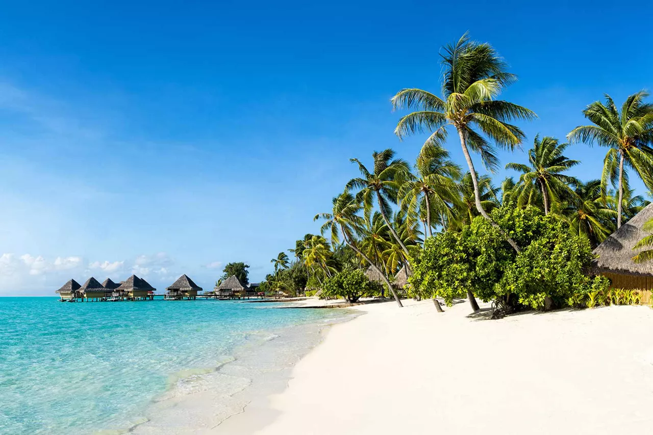 Strand und Palmen werben für das Reise-Center.