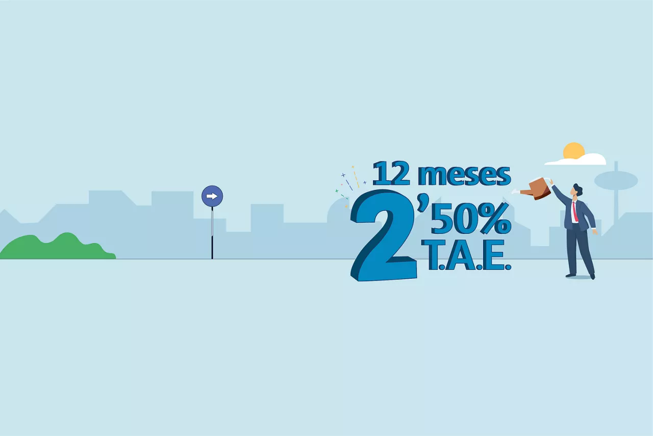 Despósito TAE 2,50 12 meses