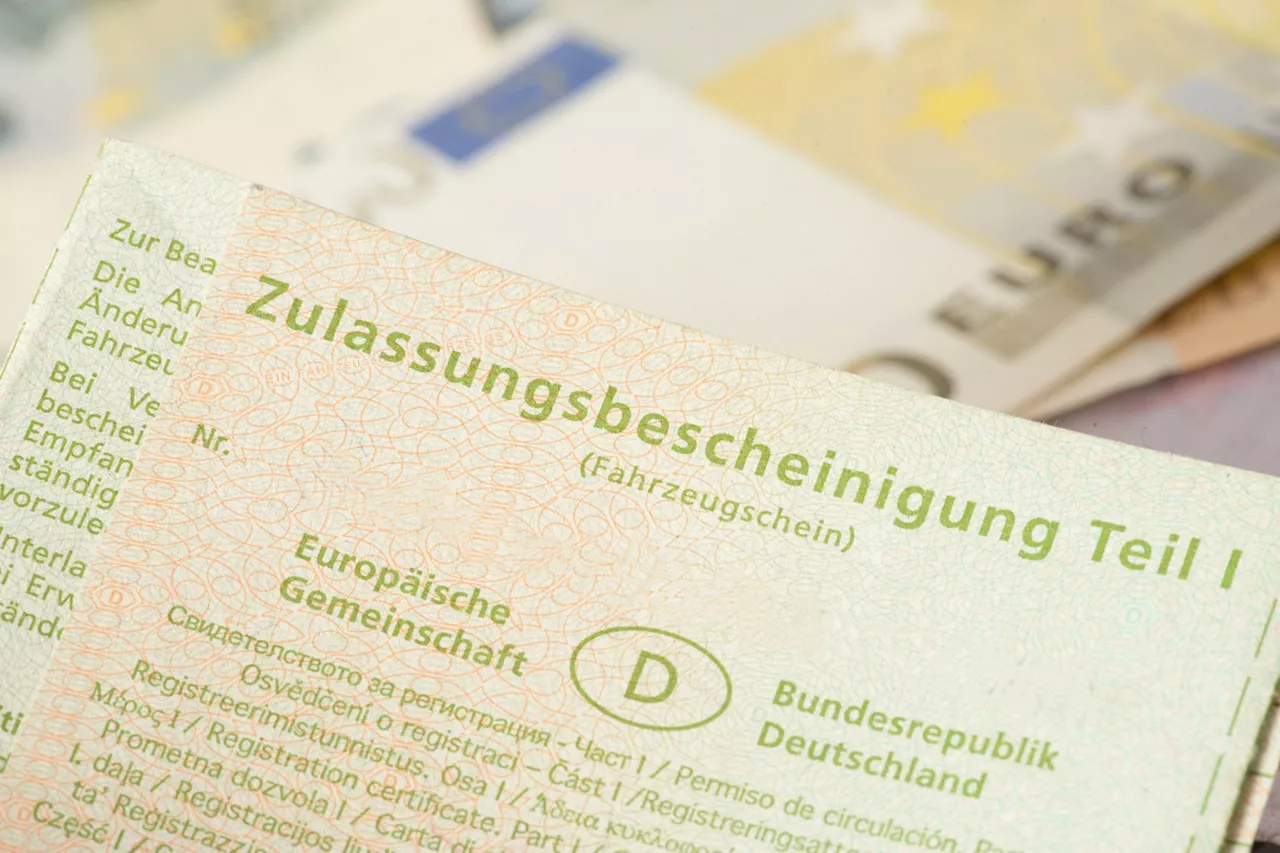 Der Fahrzeugbrief Das sollten Sie wissen VW FS