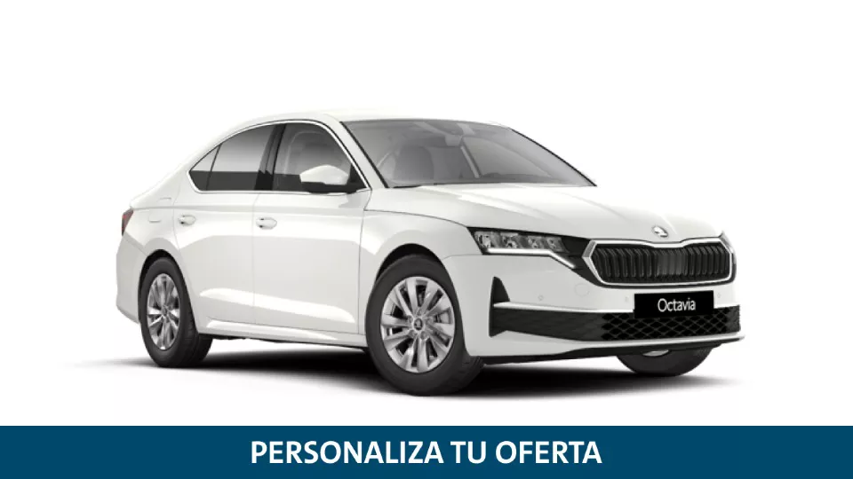 Renting Skoda Octavia Limo Selection