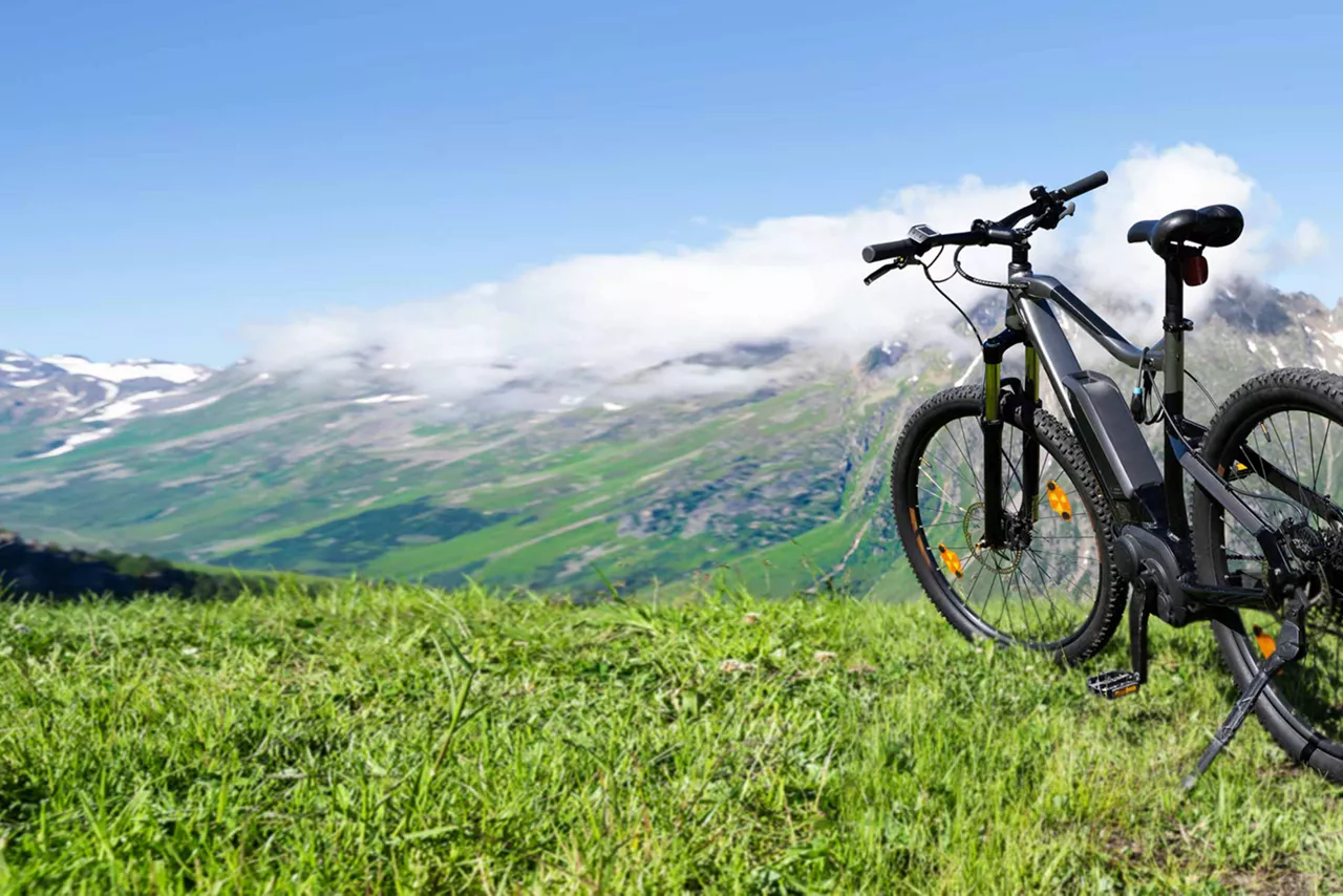 Basketbälle in einem ID.Buzz