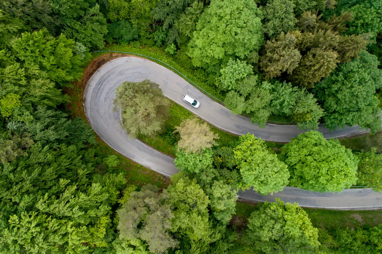 Vista aérea de un coche del Grupo Volkswagen tomando una curva en medio del bosque 