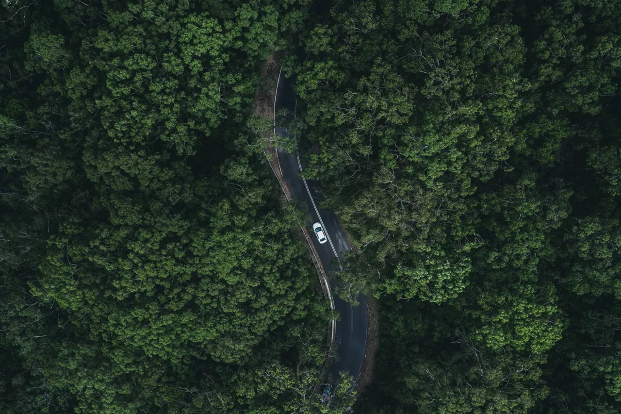 n coche de segunda mano del Grupo Volkswagen por una carretera en el bosque visto desde arriba