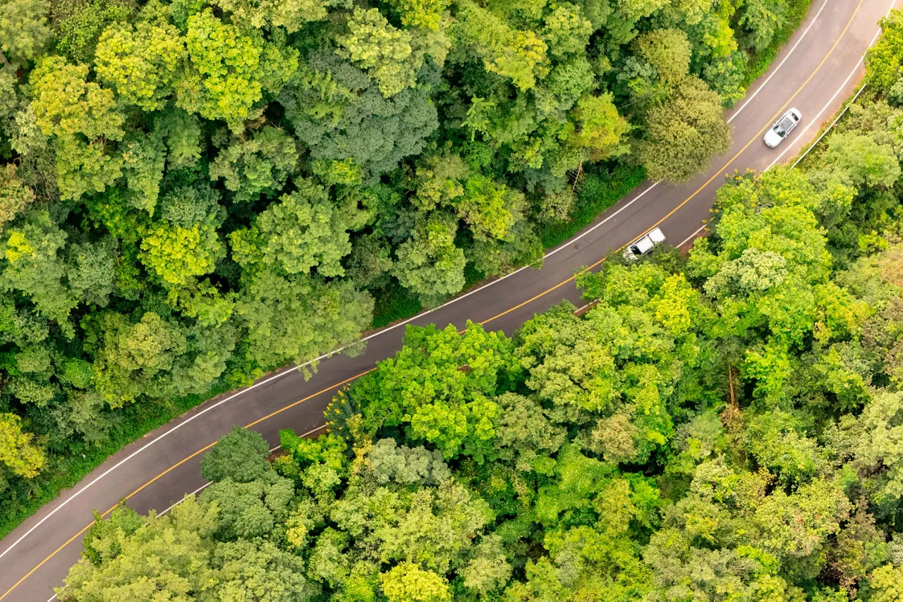 Coches eléctricos del Grupo Volkswagen vistos desde arriba en una carretera en el bosque. 