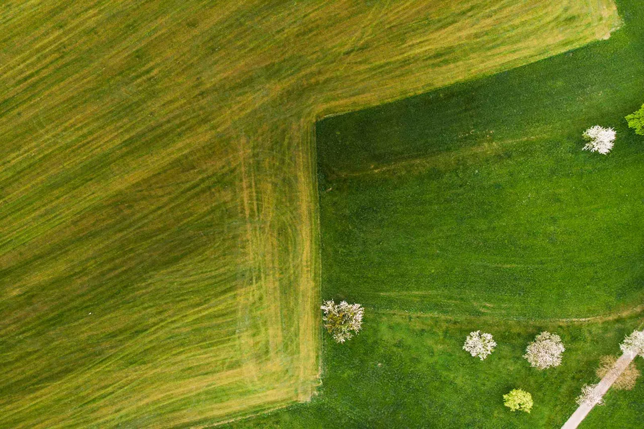 feld-aus-vogelperspektive