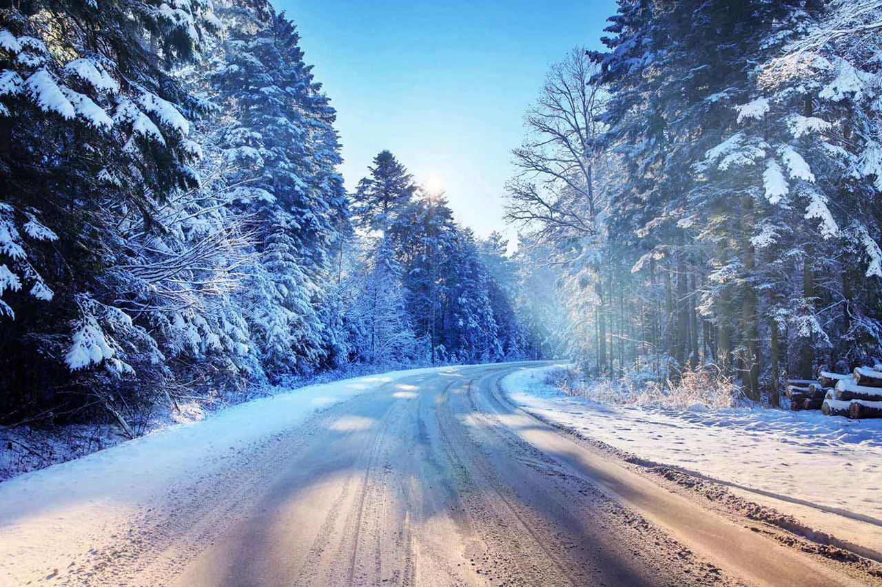 verschneite-durch-den-wald-führende-strasse