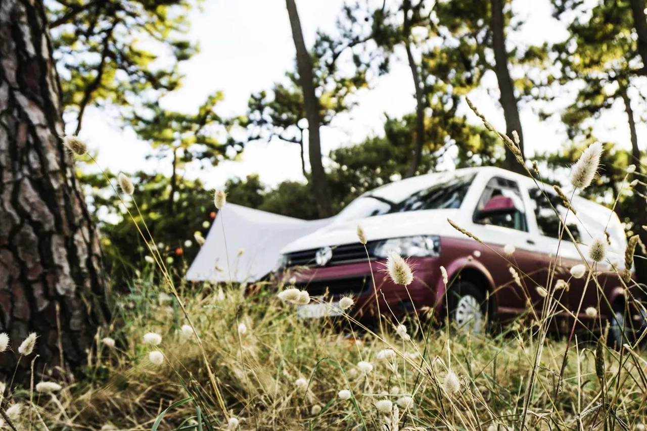 rot-weisser-camper-steht-im-grünen