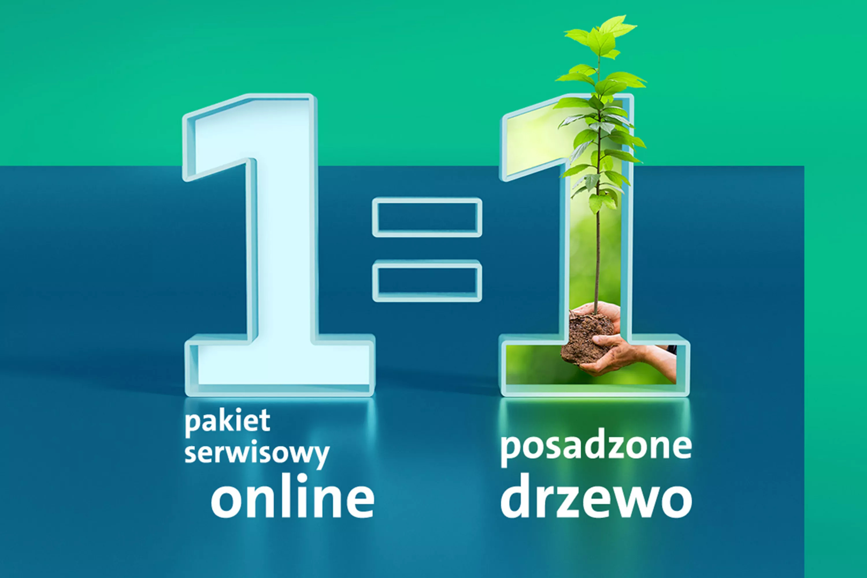 Każdy pakiet serwisowy kupiony online to nowe posadzone drzewo. 