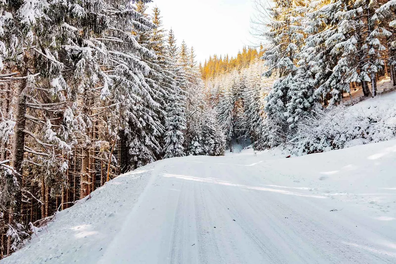 verschneite-strasse-im-wald