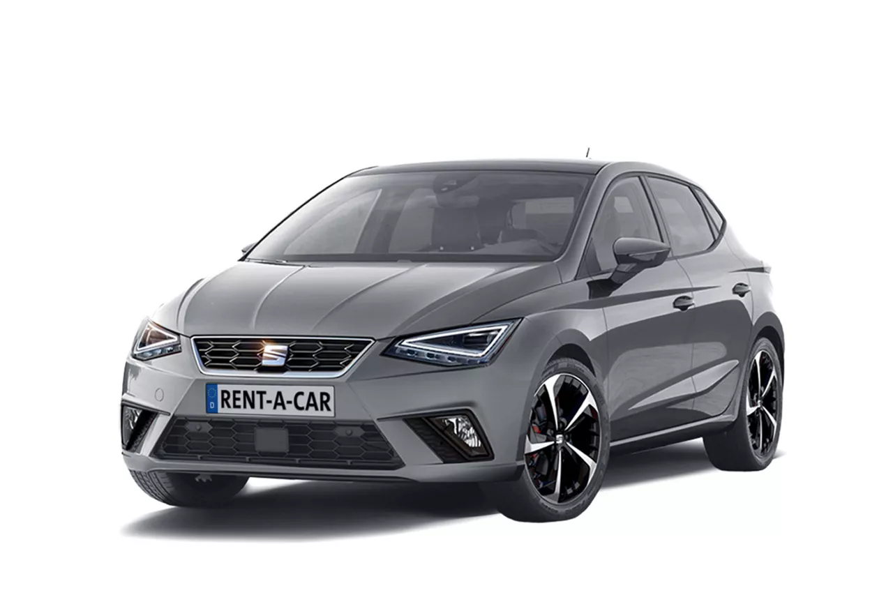 Grauer SEAT Ibiza steht schräg seitlich vor weißem Hintergrund