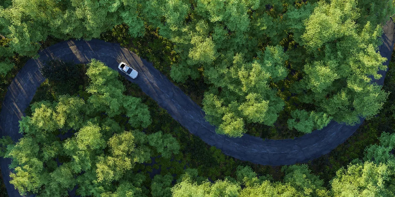 Road, car, wood