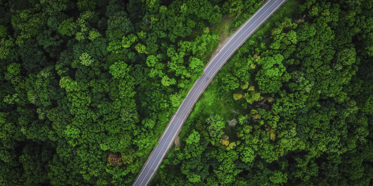 strasse-umgeben-von-natur-aus-vogelperspektive