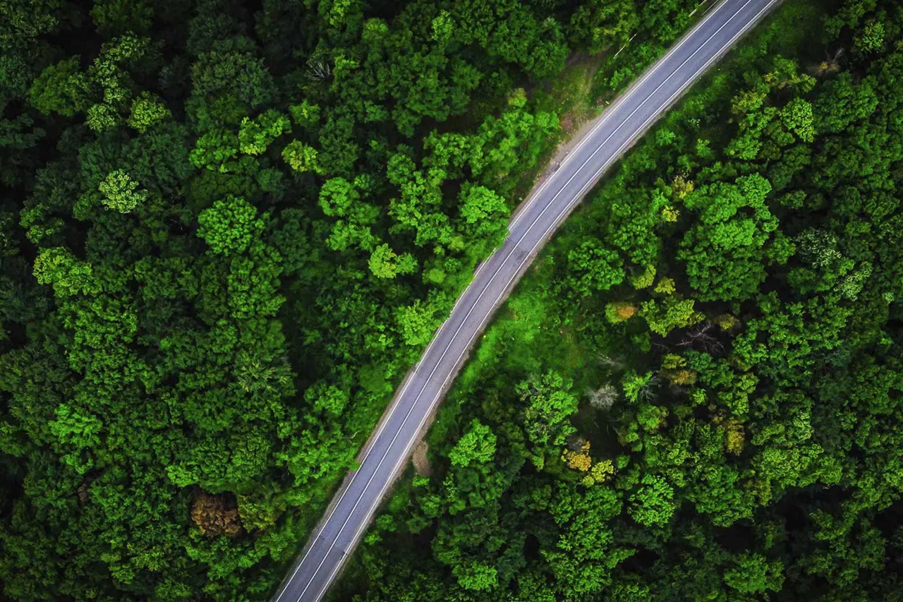 strasse-umgeben-von-natur-aus-vogelperspektive