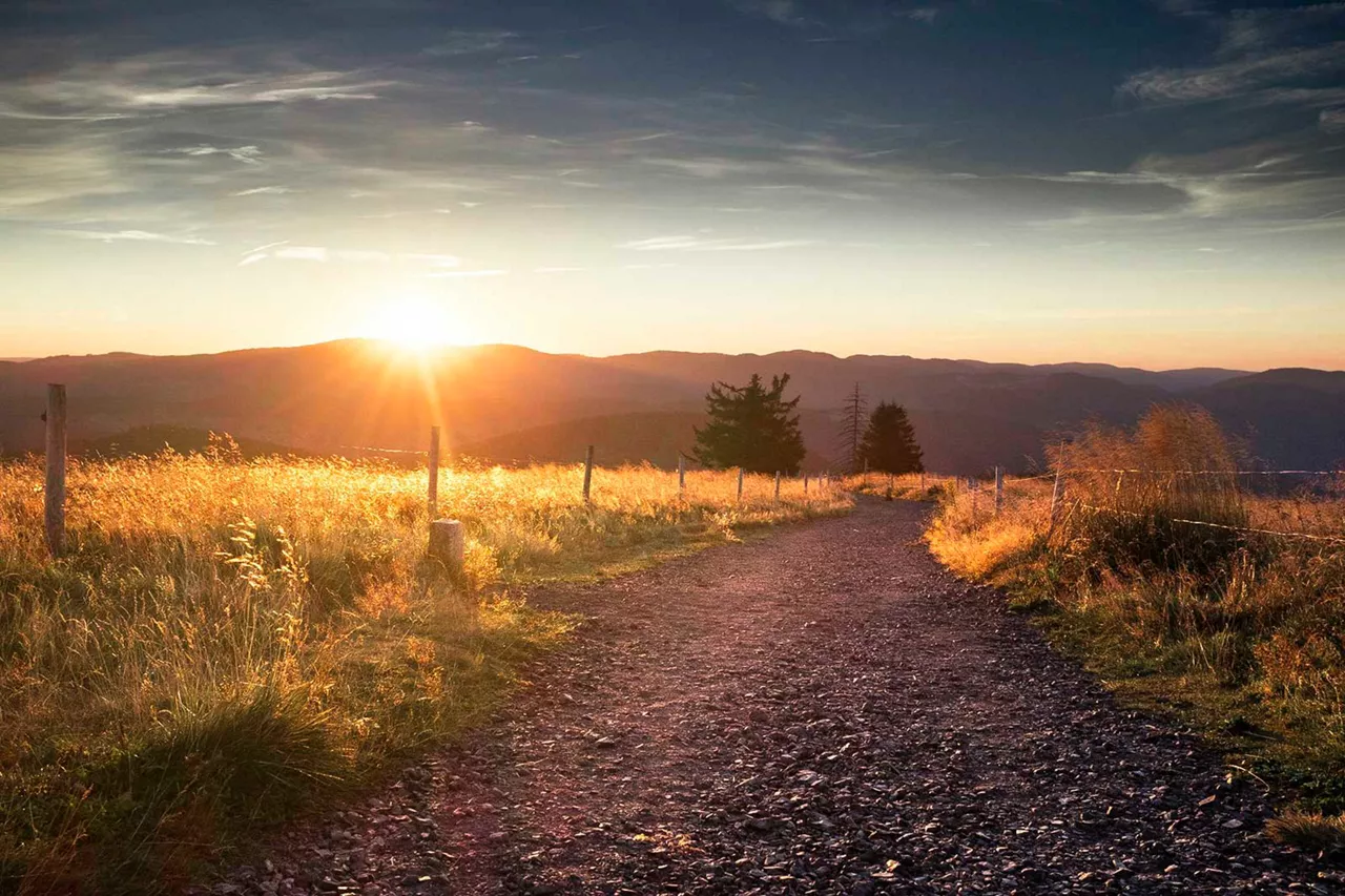 wanderweg-umgeben-von-feldern-bei-sonnenuntergang