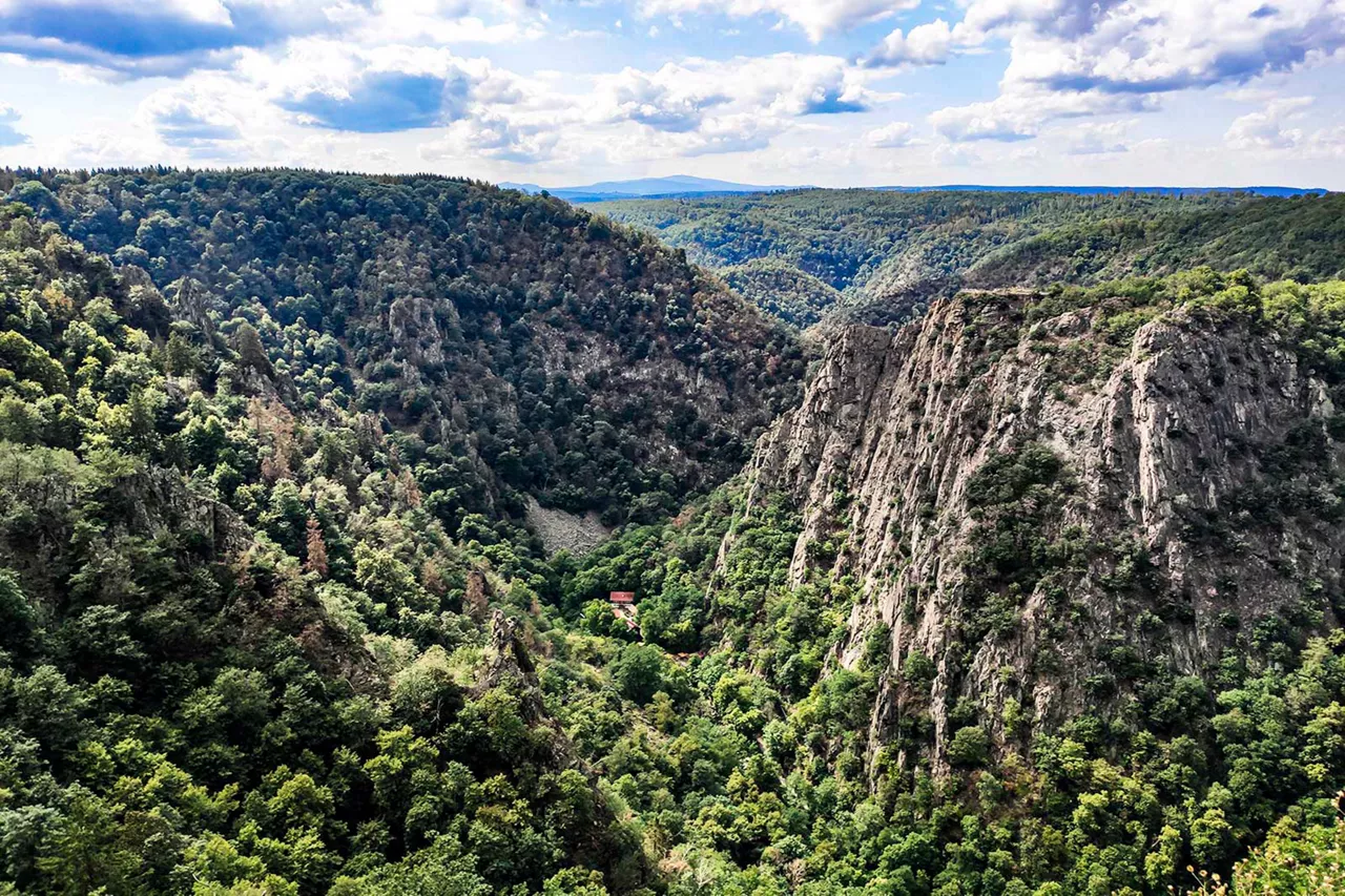 grüne-bergschluchten-im-harz