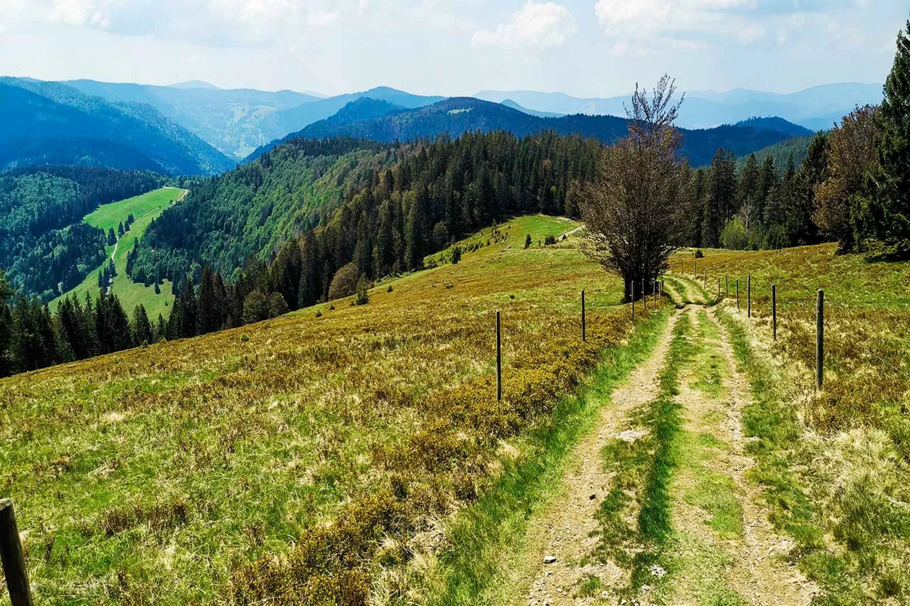 wanderweg-in-den-bergen