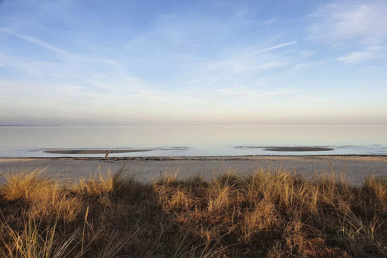 seegrass-mit-menschenleerem-strand-und-dem-meer-im-hintergrund