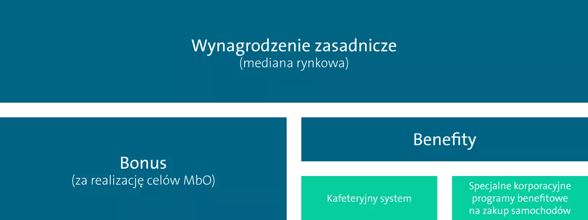 Infografika z napisami: wynagrodzenie zasadnicze, bonus i benefity. 